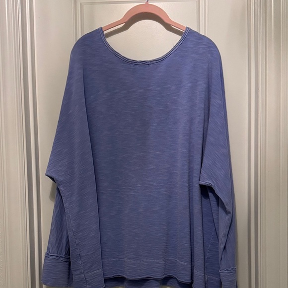 Fresh Produce Light Blue Long Sleeve Top Oversized Large - Picture 4 of 4